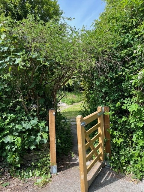 Gorllan Garden 2